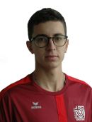 Damir Mikec